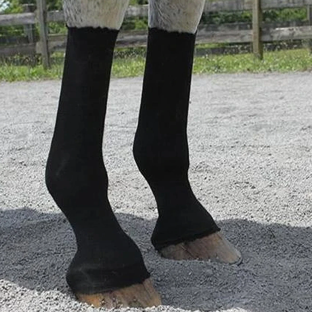 EquiFit Horsesox 2 EquiFit Horsesox - Image 2