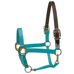 Perri's Premium Nylon Safety Halter -Weatherbeeta Store turquoise 84378.1588257174.1280.1280
